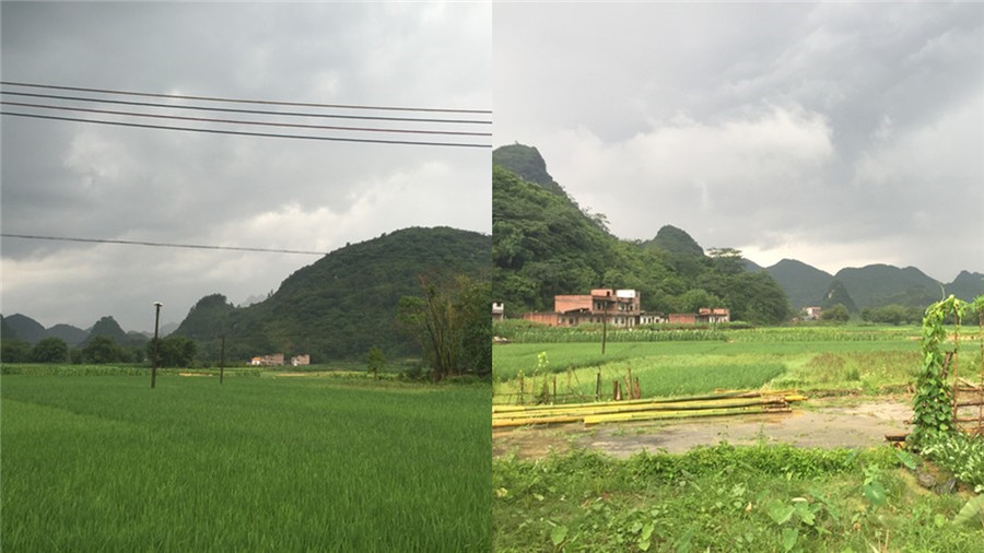 陽(yáng)山峰林古道-搏翱拓展